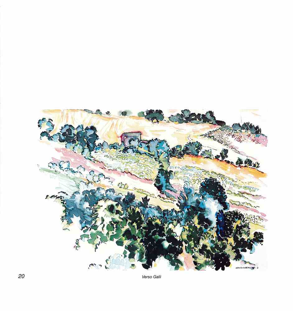 Intorno all'arola IV 2006 p.020