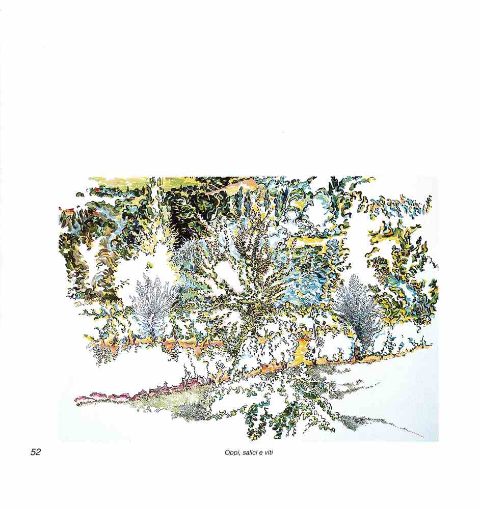 Intorno all'arola IV 2006 p.052