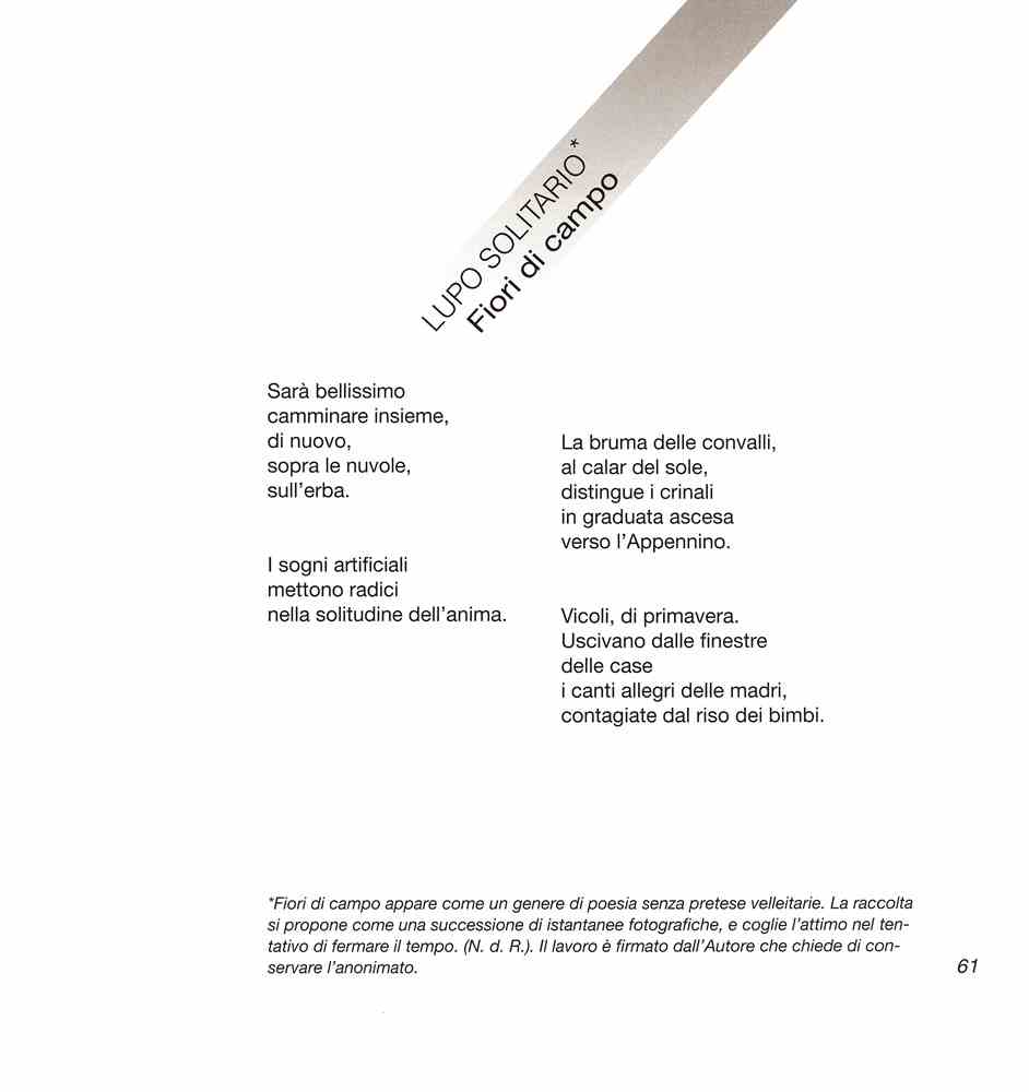 Intorno all'arola IV 2006 p.061