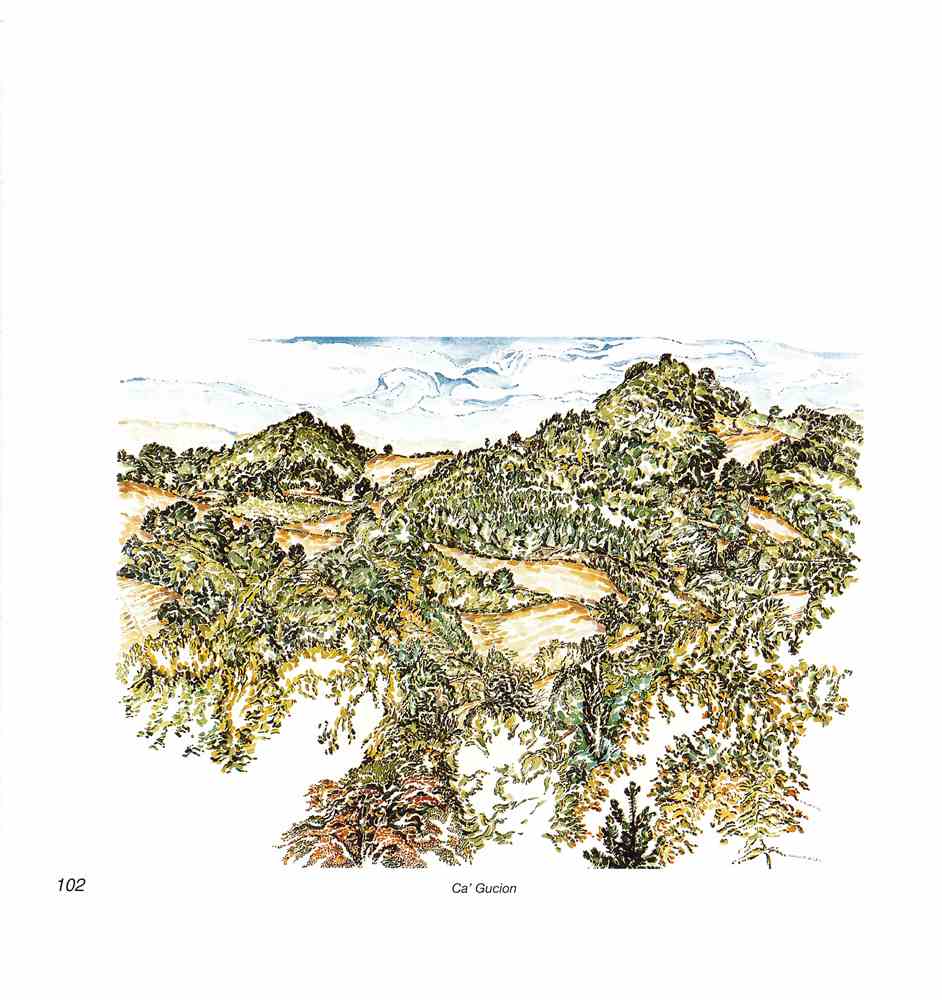 Intorno all'arola IV 2006 p.102