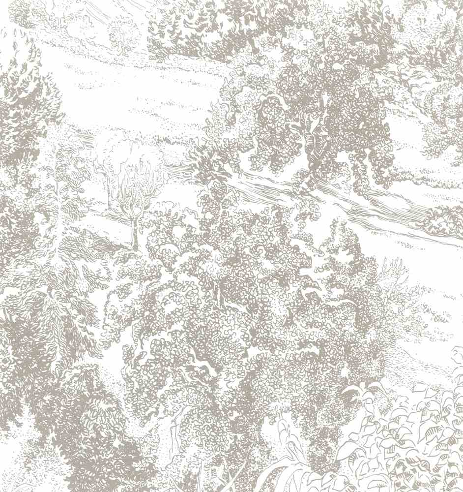 Intorno all'arola IV 2006 p.118