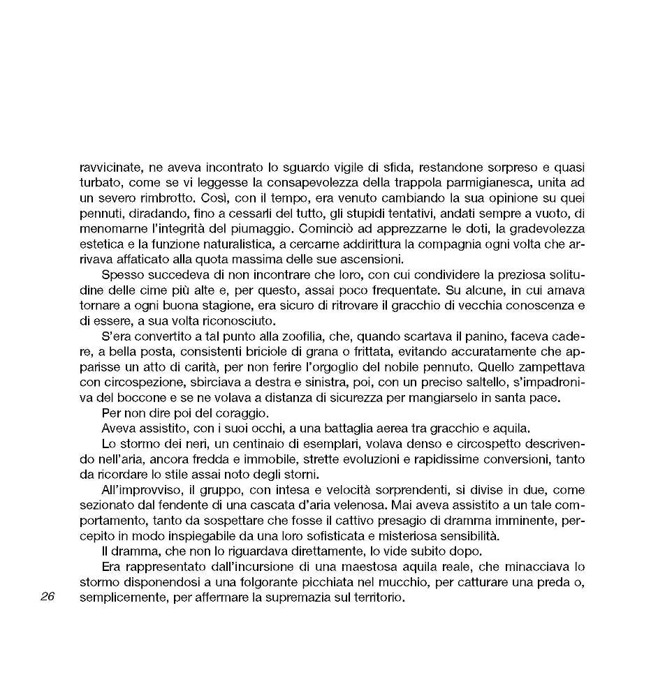 Intorno all'arola VI p.026